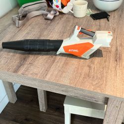 Kids Leaf Blower. 