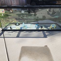 Large Glass Reptile Enclosure 48x16x17