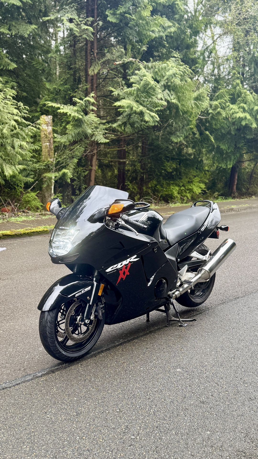 1997 Honda CBR1100 XX BLACK BIRD