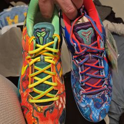 Kobe VIII PROTRO WHAT THE