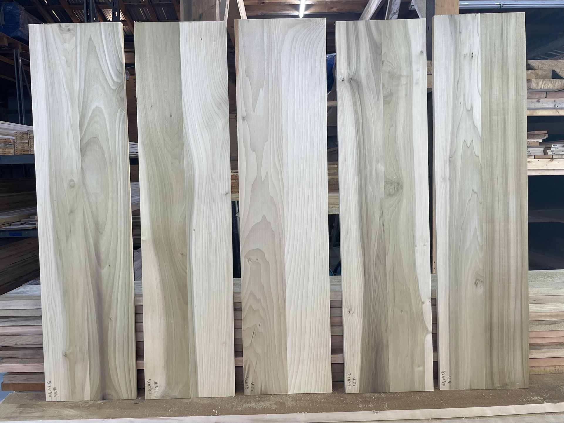 Poplar Lumber Glue Up Panels