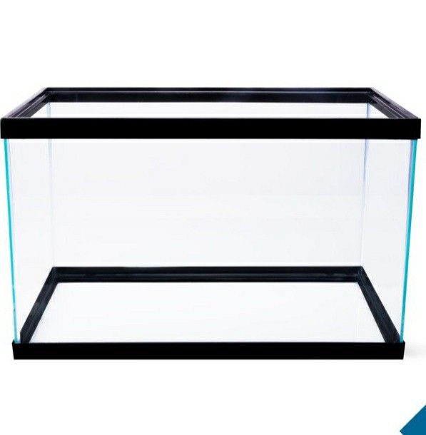 10 Gallon Tank