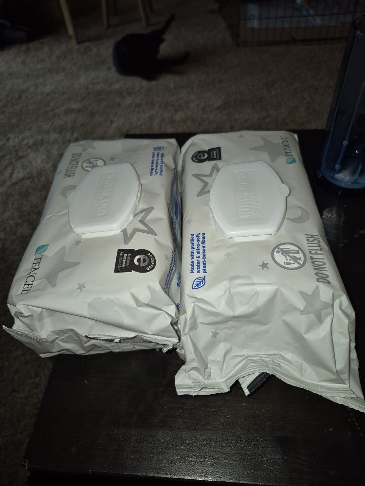 2 Pkgs Kirkland Wipes