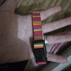 Dog Collar 