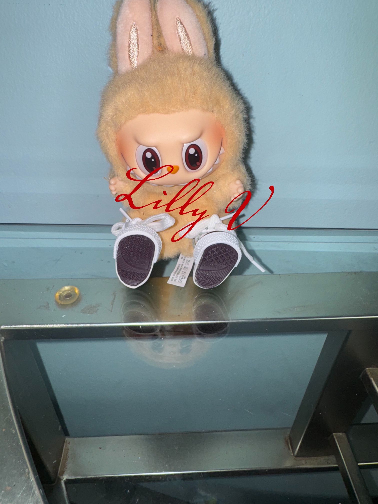 Brand new shoes for Labubu 