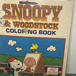 Snoopy And Woodstock Large Vintage Coloring Book