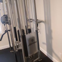 Life Fitness Dual Adjustable Pulley