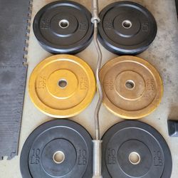 Olympic Bumper Plates (2x45Lbs,2x25Lbs,2x10Lbs) and EZ Curl Bar for $160 Firm (WALNUT 91789)