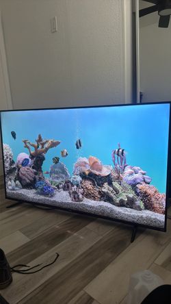 TV. Like New