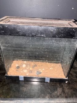 small grow out tank