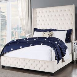 Brand New Beige Velvet Queen Bed Frame