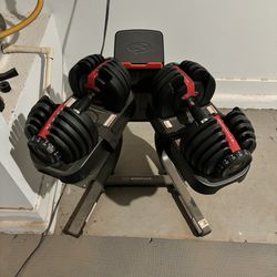 BowFlex SelectTech 552 Adjustable Dumbbells with Stand