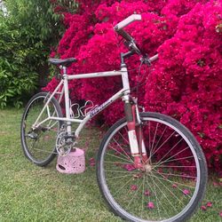 Nishiki Ariel Bike