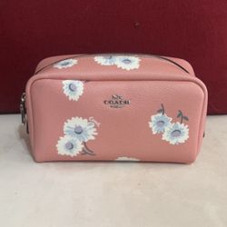 Coach Cosmetic Bag