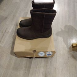 Uggs Boots