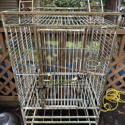 Bird Cage 