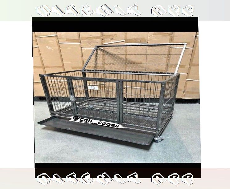 Give a Warm Home with Dog Pet Cages and Kennels own teach