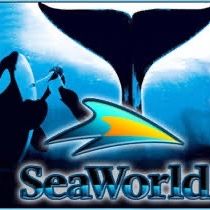  DISCOUNT 🎟️ 🎢🦈 SEA WORLD SAN DIEGO 🎢🐬