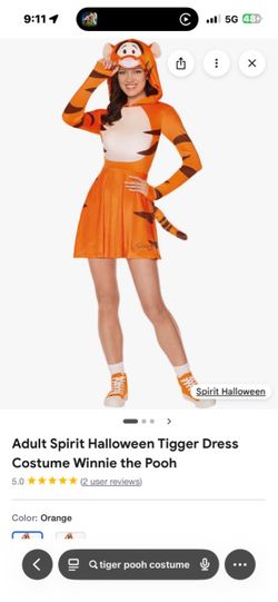 Tiger  costume