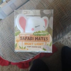 Night Light