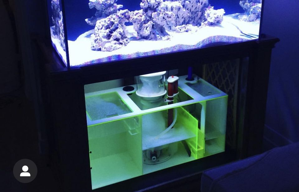 Synergy Reef TS-44 Triton Sump