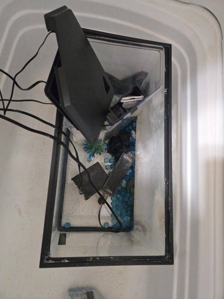 Fish Tanks & Accessories