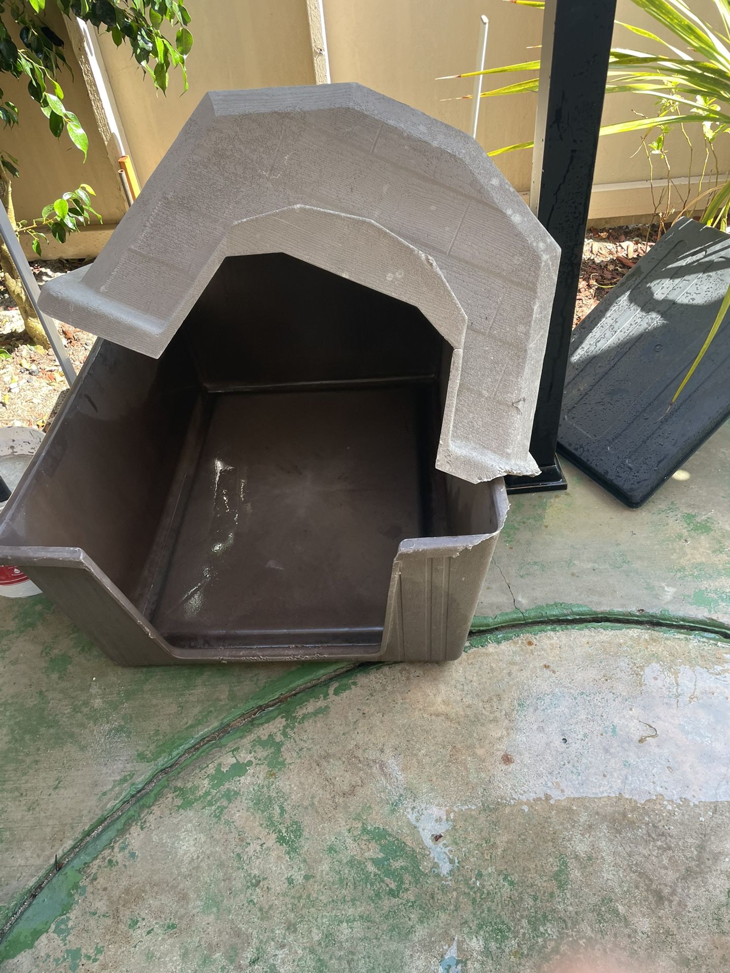 Dog House