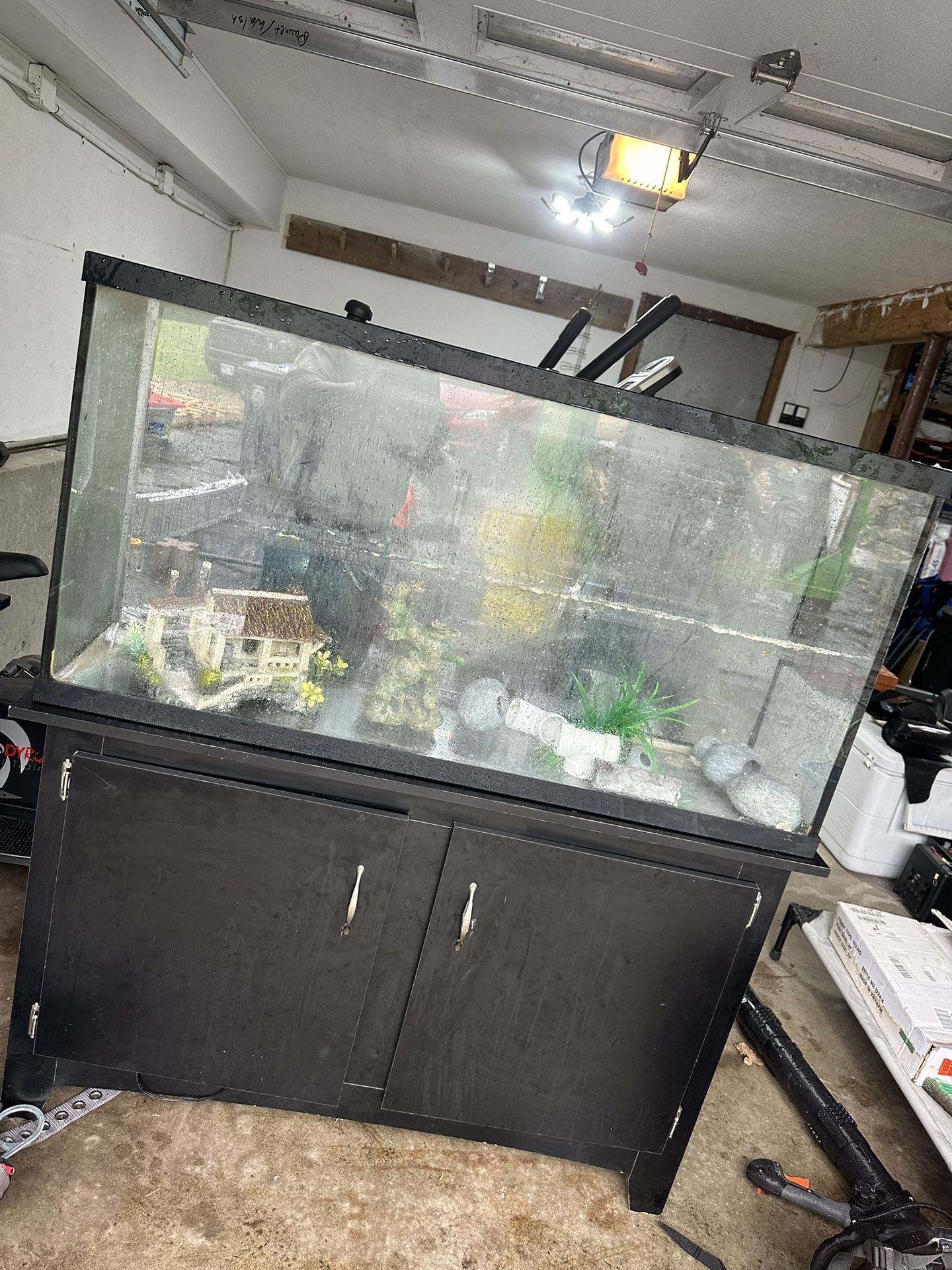 75 Gallon Tank And Stand