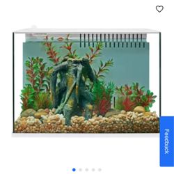 Fish Tank