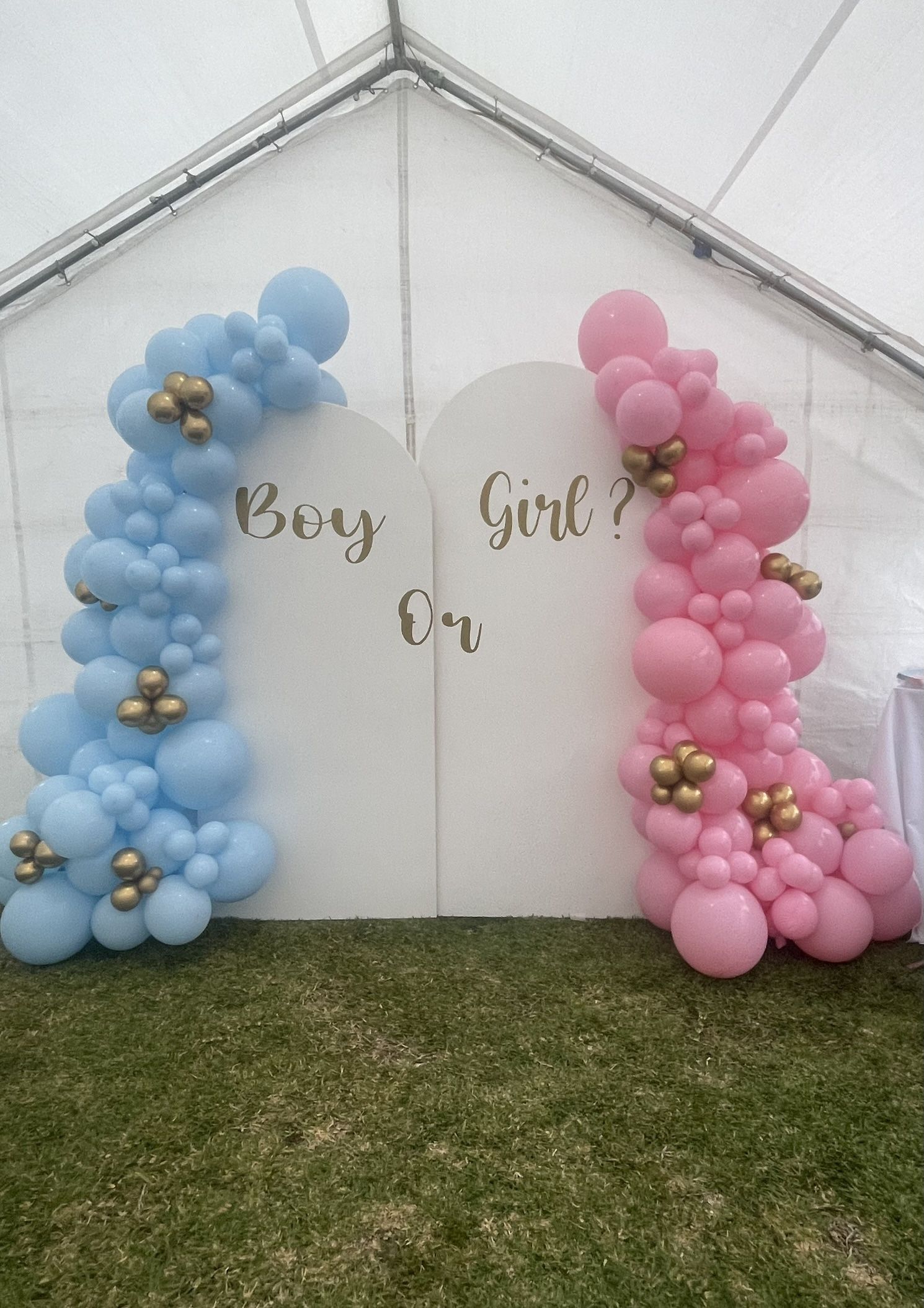 Balloon Garland