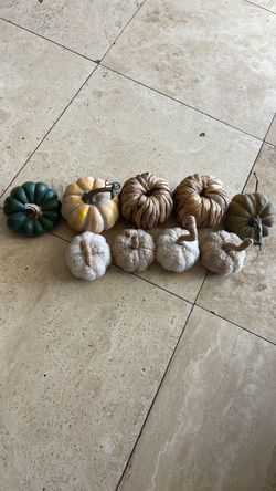 Fall pumpkins