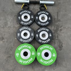 Rogue Loadable Dumbell with Plates & Clips.  Retails for $580 + Tax & Shipping.  Only $425!