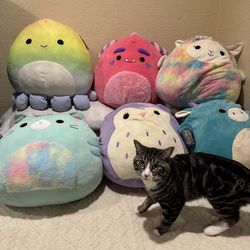 Squishmallows