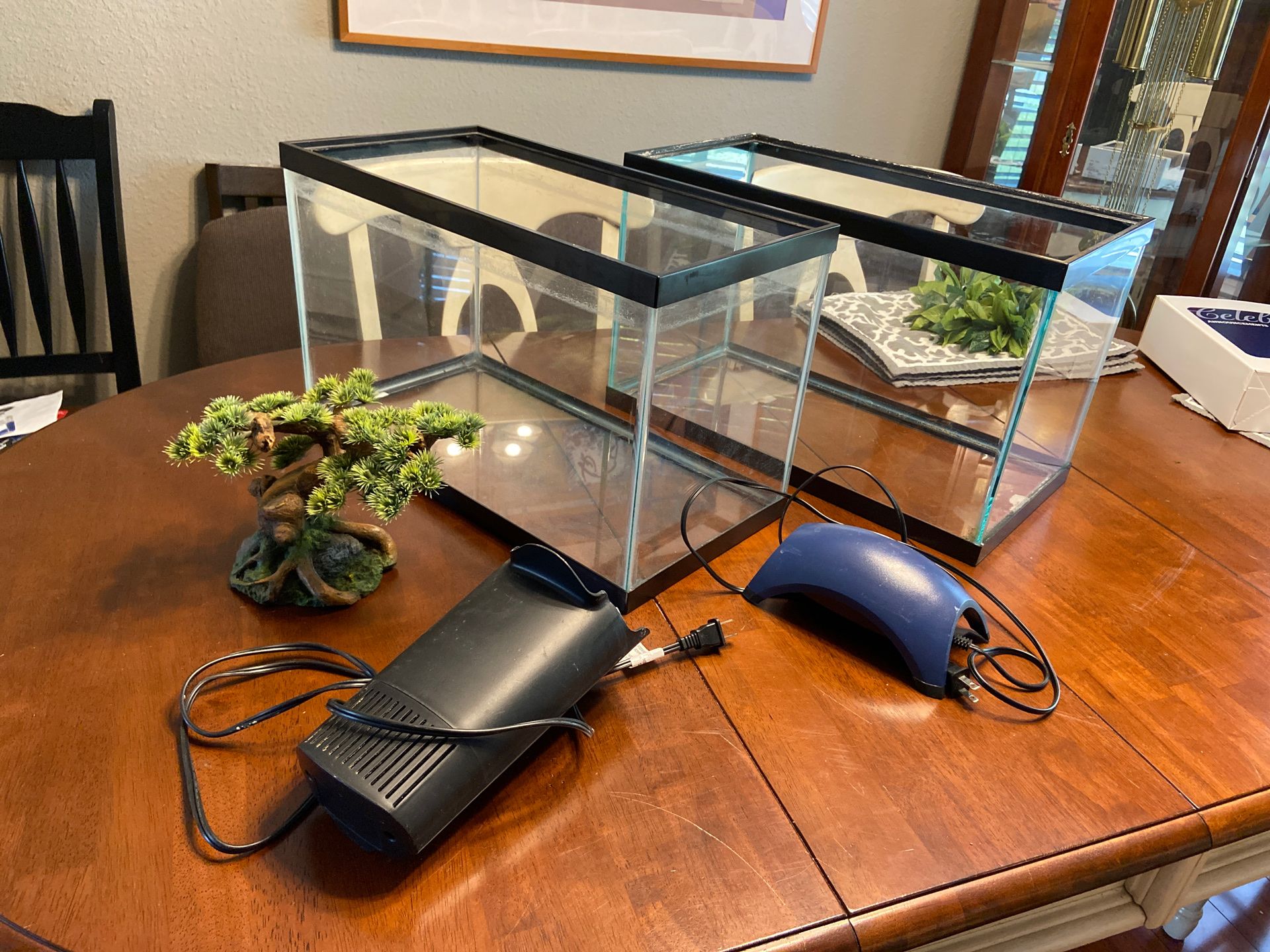 Aquariums and supplies