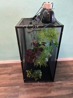 Chameleon cage set-up