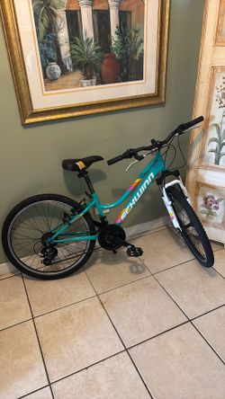 Schwinn 24”Woman’s Bicycle High Timber Teal Color
