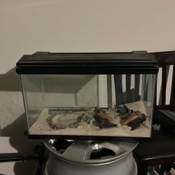 Reptile Tank 10 Gallon. Glass Tank