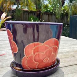 Indoor flower pot purple with large red flowers