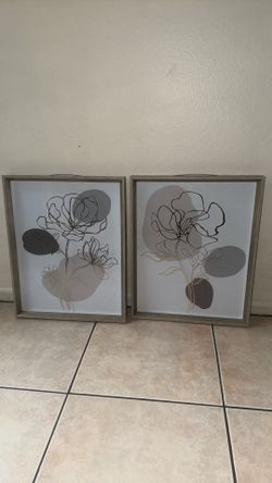 Bonitas Cuadros de corativos $15 por los 2