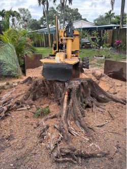 Stumps grinding