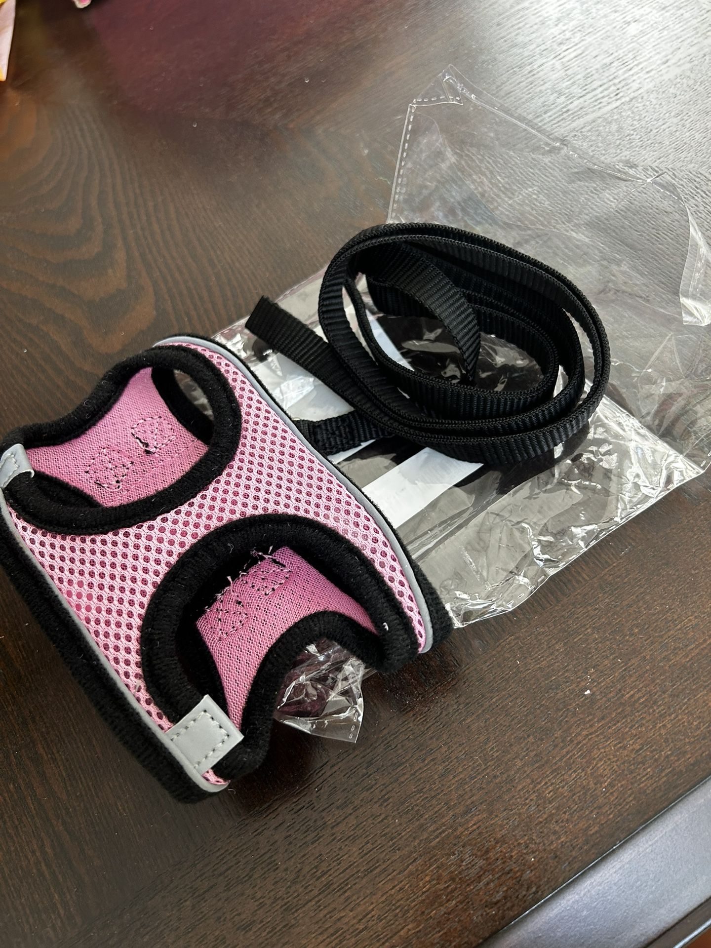 small dog leash and collar
