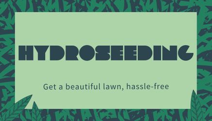 559 Hydroseeding sod