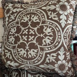 Throw Pillows (Couch) Central NJ