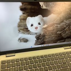 Dell Touchscreen Laptop Intel Ultra 5 