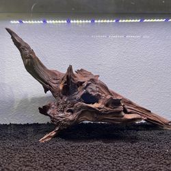 Natural Driftwood for Aquarium Decor Reptile Decor