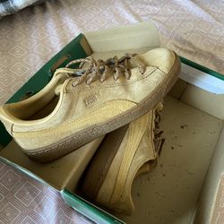 Brown Pumas 