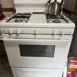 White Gas Stove- Works Great 