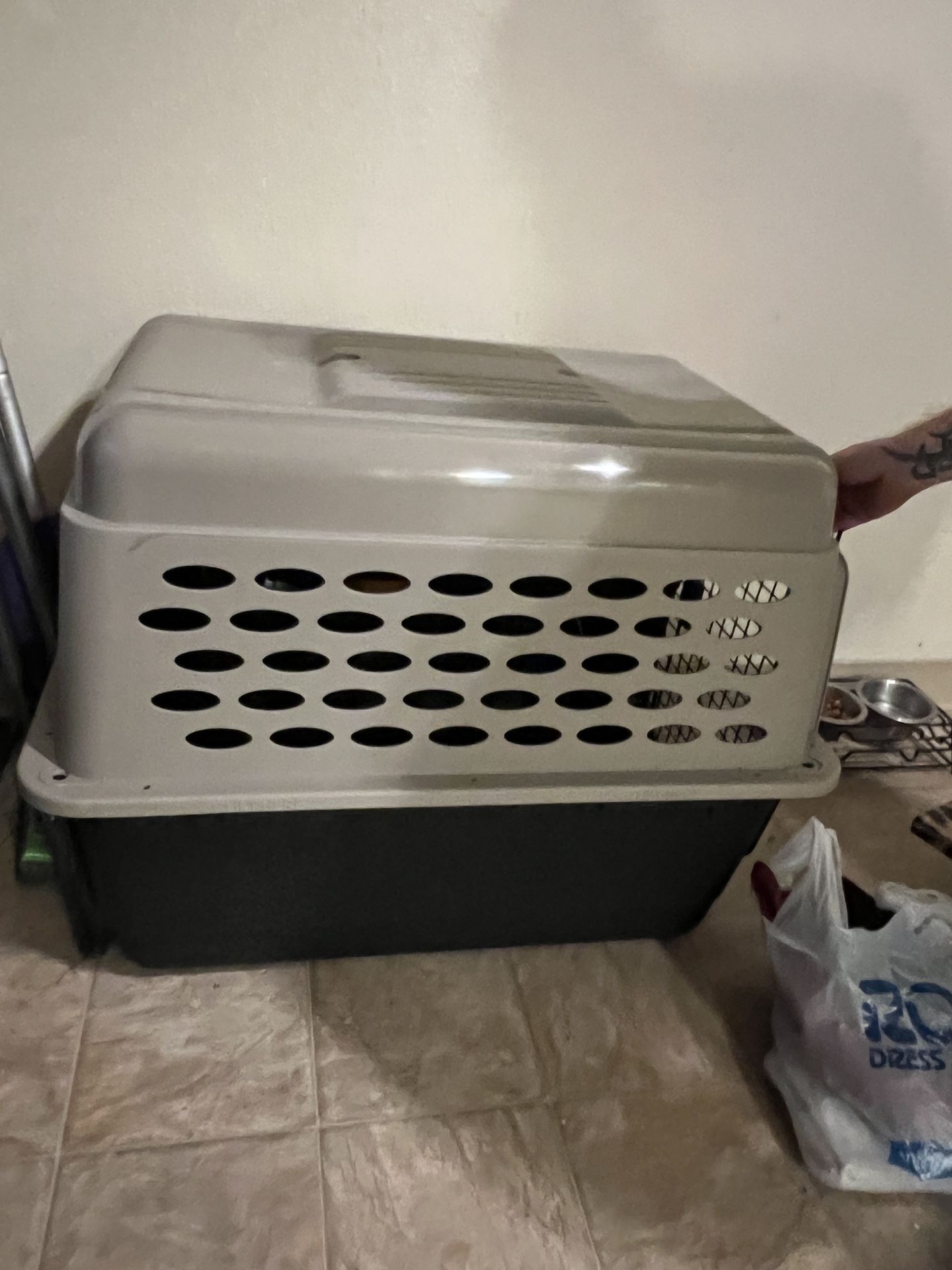 Dog Crate