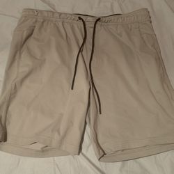 American Eagle Silver Shorts; Men’s L