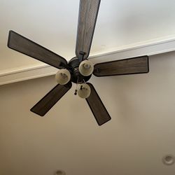 Fan